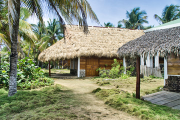 Fototapeta na wymiar Thatched roof of wooden bungalow with palm vacation in summer sunlight.