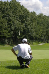 골프. 그린. 필드. 골프화. 잔디. 스포츠.