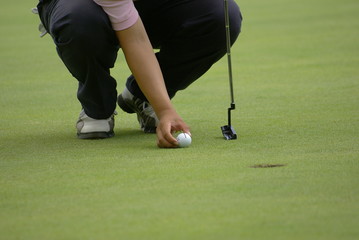골프. 그린. 필드. 골프화. 잔디. 스포츠.