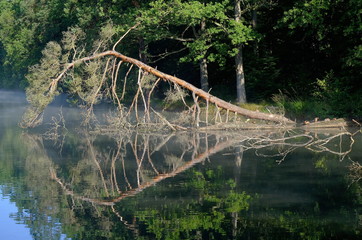 bärensee stuttgart