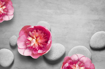 Flat lay composition with spa stones, pion pink flower on grey background.