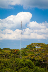 Obraz premium Amazon rainforest from above of an observation tower - Pará, Brazil