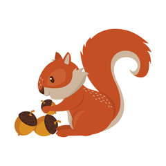 Squirrel eating nut cartoon animal