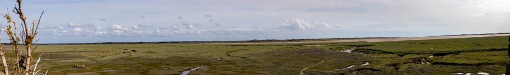 Panorama of a salt marsh in Normandy