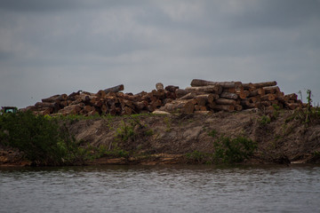 Deforestation on the banks of the Xingu River, Amazon - Brazil