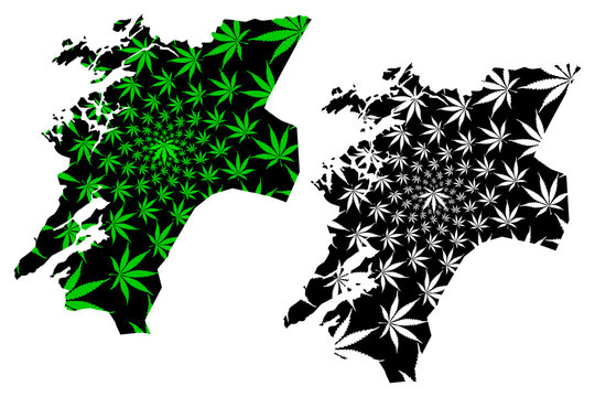 Nord-Trondelag (Administrative divisions of Norway, Kingdom of Norway) map is designed cannabis leaf green and black, Nord-Trondelag fylke map made of marijuana (marihuana,THC) foliage,..