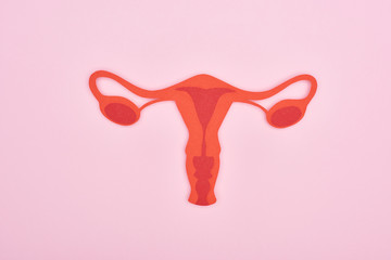 top view of red paper cut female reproductive internal organs on pink background