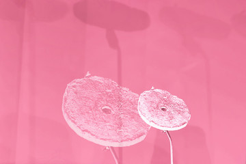 art in pink, performance - spain