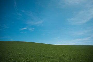 Fototapeta na wymiar Minimalistic landscape green land and blue sky 