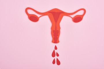 top view of red paper cut female reproductive internal organs with blood drops on pink background