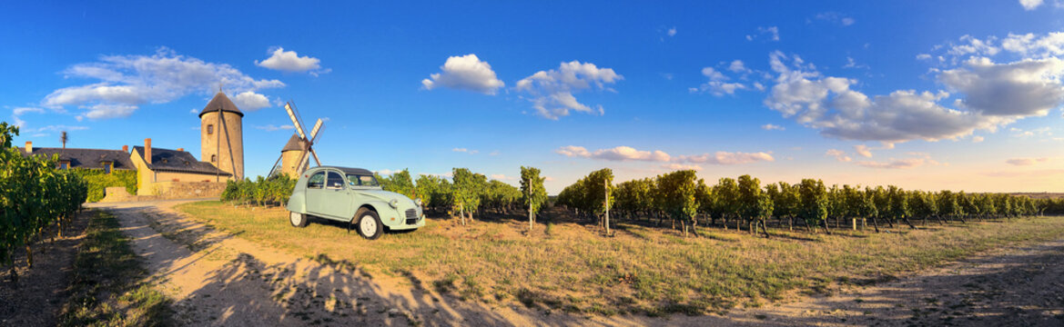 Vignoble et moulin Angevin dans le Layon > France
