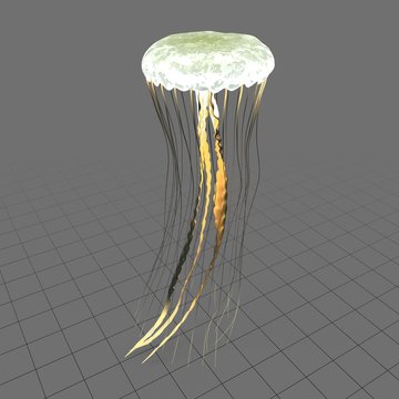 Jellyfish 2