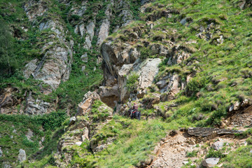 passeggiate a cavallo sui sentieri alpini