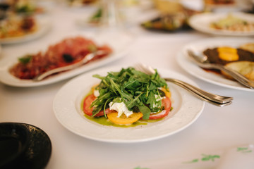 Fresh salad in restaurant on the table. Banquet concapt. Different salads with tomato, arugula, chicken, avocado, parmesan, shrimp