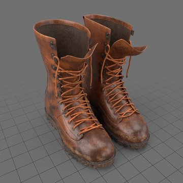 Hunting boots