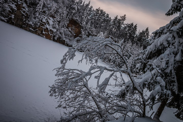 Winterlandschaft, Winterlandscape