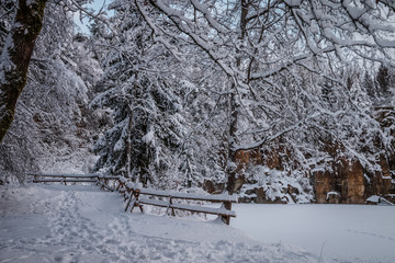 Winterlandschaft, Winterlandscape