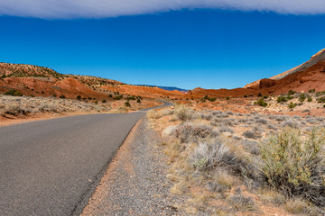 Highway in national park in Utah