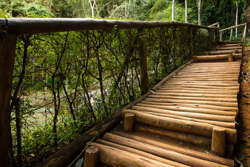 Wood Pathway