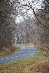 Road in national park at fall