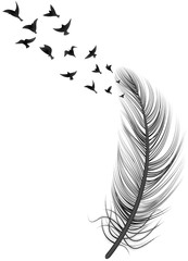 Realistic Feather Bird Illustration
