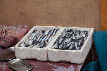 Fresh catch of fish for sale at local market