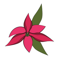 tropical floral botanical environment cartoon