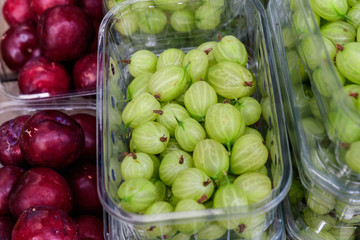 Transparent plastic box with fresh organic green gooseberries  in display at a street food market
