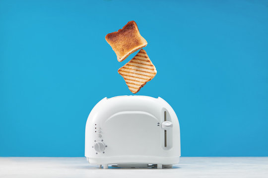 Roasted toast bread popping up of toaster with blue wall, front view