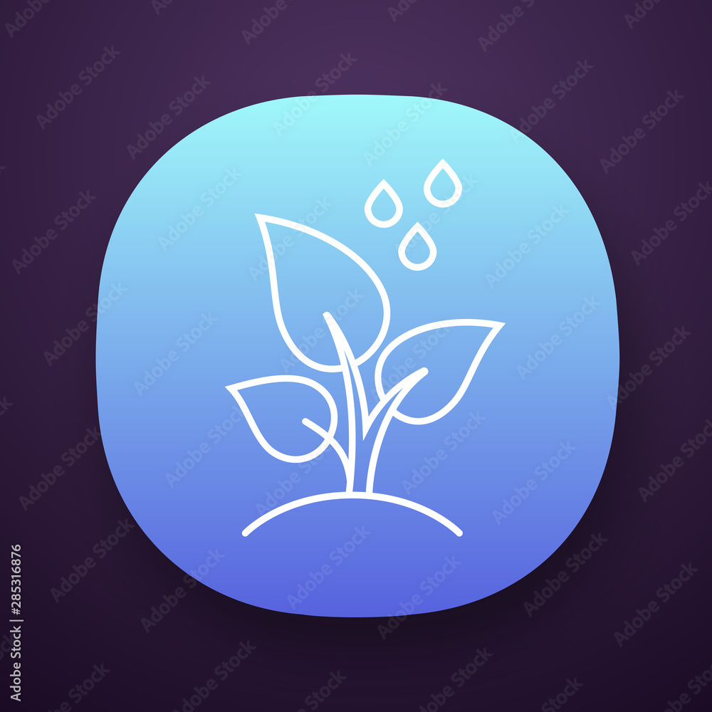 Poster trees planting app icon. reforestation volunteer project. small plant and water drops. gardening and