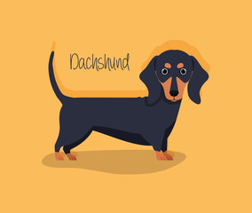 cute dashhund dog pet character