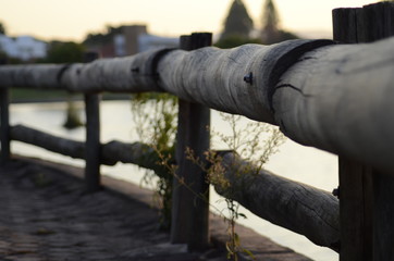  wooden fenced by the dam