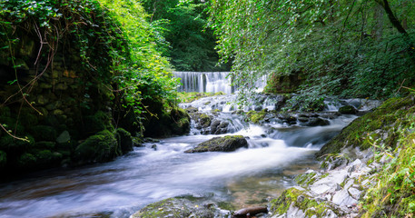 Beautiful panorama view of water fall landscape at green forest in the summer, Ghyll Force, Ambleside, Lake District National Park, UK