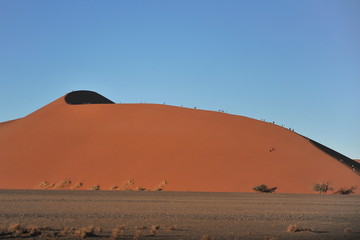 Fototapeta na wymiar Red sand dunes in the Namib desert.