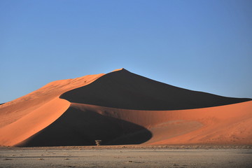Fototapeta na wymiar Red sand dunes in the Namib desert.