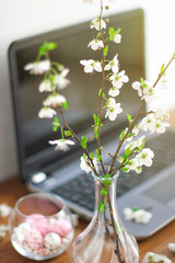 branch of spring flowers and colorful pink candy eggs for easter on rustic background