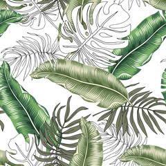Tropical green banana, monstera palm leaves, white background. Vector seamless pattern. Graphic illustration. Exotic jungle plants. Summer beach floral design. Paradise nature © ojardin