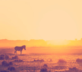 Fototapeta na wymiar Africa Sunset Landscape