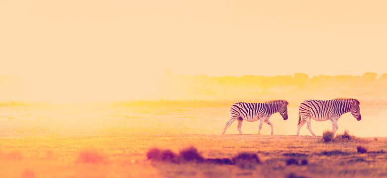 Africa Sunset Landscape