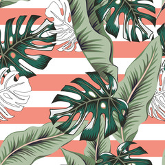 Tropical green banana, monstera palm leaves, striped background. Vector seamless pattern. Graphic illustration. Exotic jungle plants. Summer beach floral design. Paradise nature