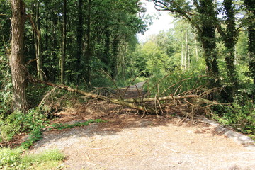 die natürliche Wegsperre
