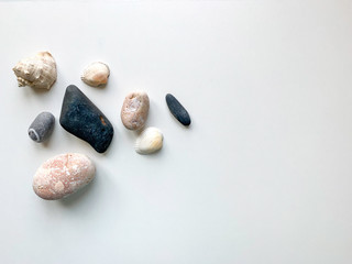 sea pebbles shell abstract background