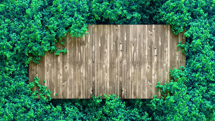 Summer banner, tree and leaves. 3d illustration, 3d rendering.