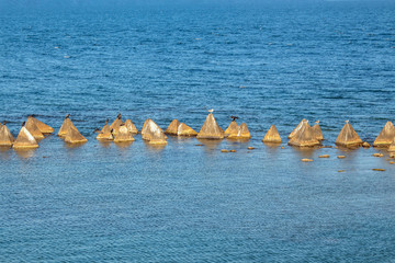  Seascape. Concrete pyramids with cormorants and gulls in the light before sunset.Shabla, Northern Black Sea Coast, Bulgaria.