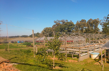 Structure of an agricultural production greenhouse in a technical school in Brazil. Vegetable production infrastructure