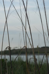 Gulf Coast at Sunset