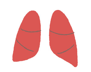 A simple illustration representing the lungs
