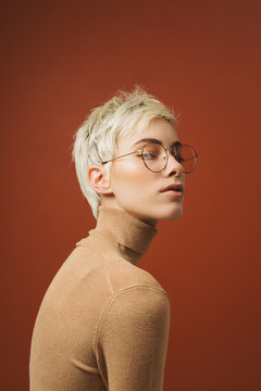 Beauty Studio Portrait of a Woman