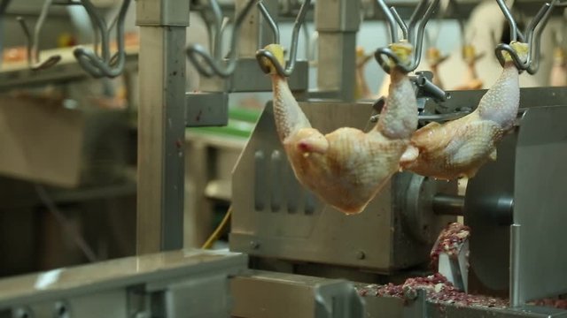 Trozado de pollo autom&aacute;tico