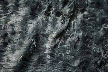furry blanket